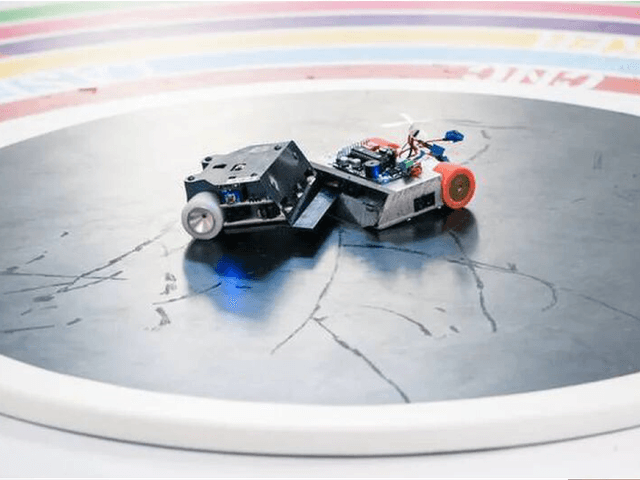 Mini Sumo RC robots