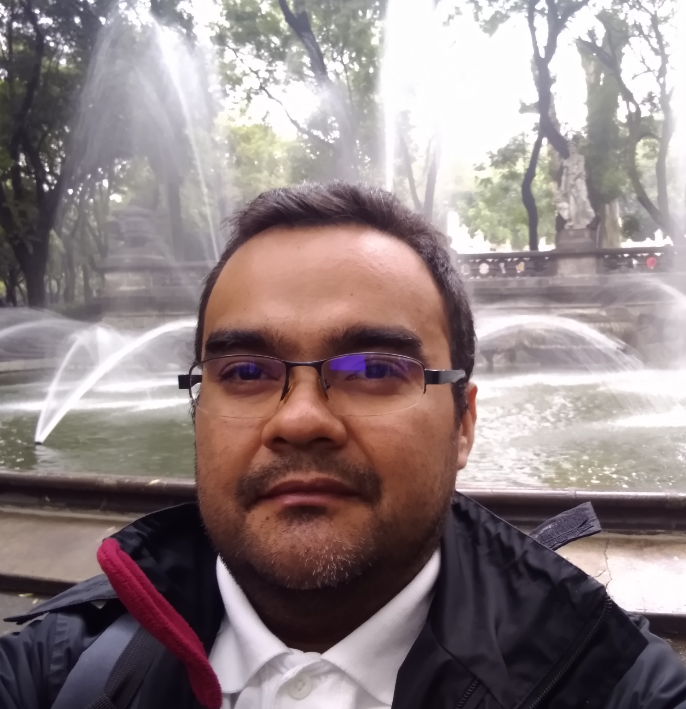 Nombre organizador 2